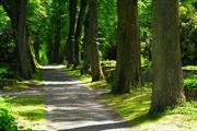 AUGUST PARKS AND GARDENS MAINTENANCE TASKS